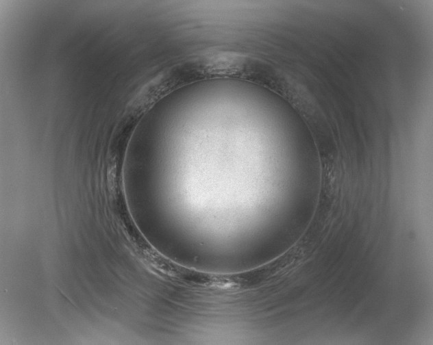 X0000080180745200612081401