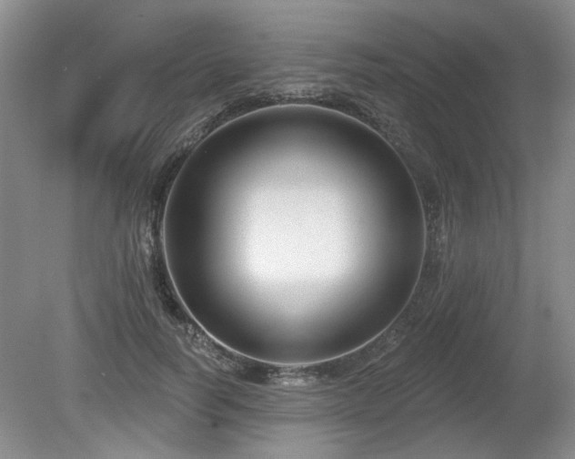 X0000080180746200612081401