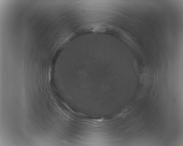 X0000080180748200612081401