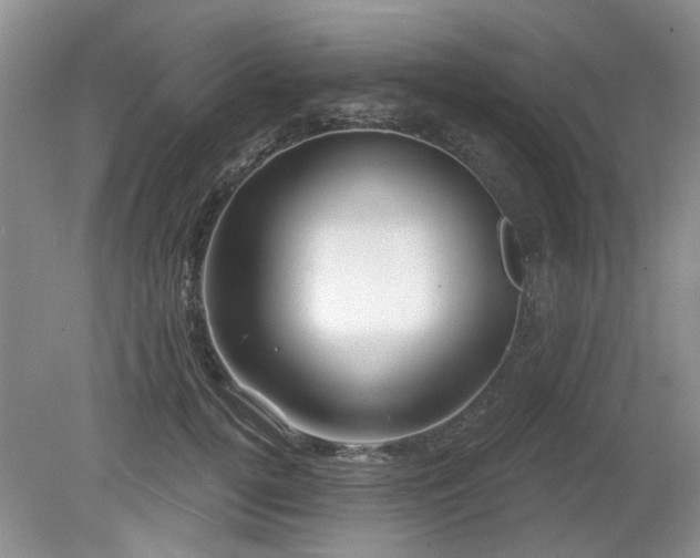 X0000080180752200612081401