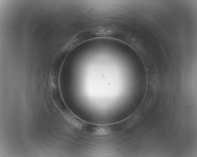 X0000080180755200612081401