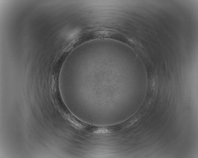 X0000080180759200612081401