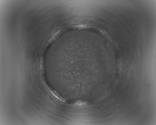 X0000080180760200612081401