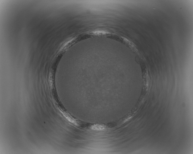 X0000080180762200612081401