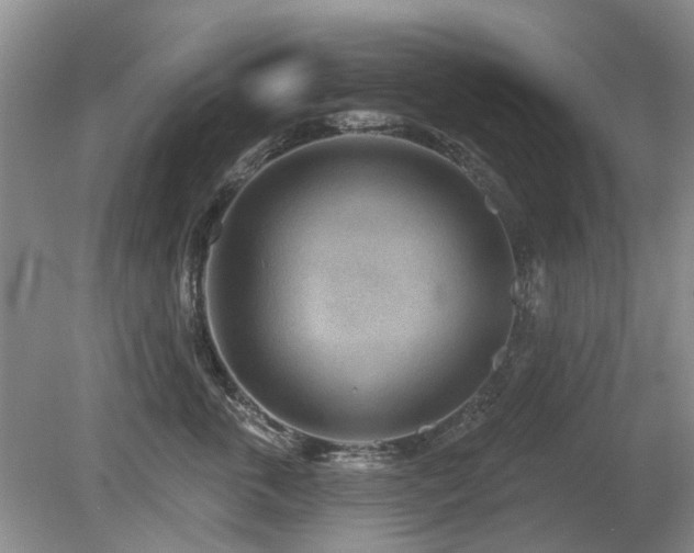 X0000080180763200612081401