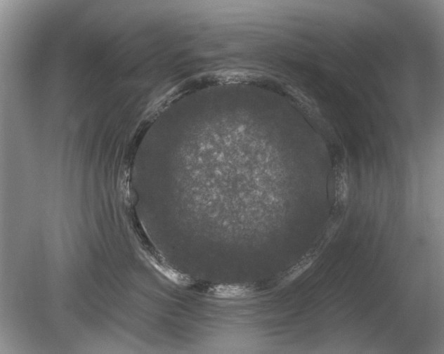 X0000080180766200612081401