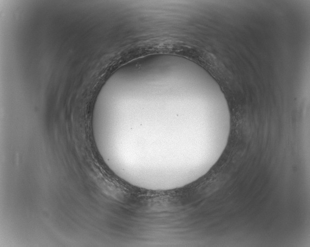 X0000080180769200612081400