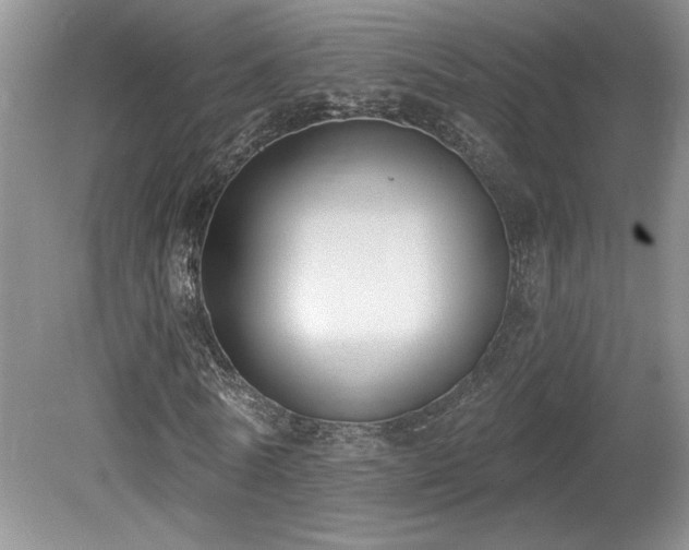 X0000080180770200612081400