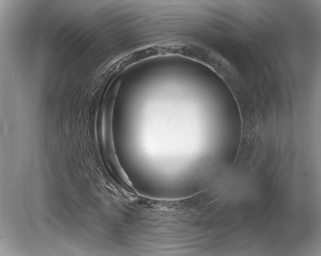 X0000080180773200612081400