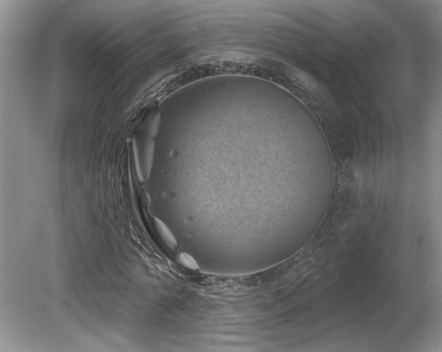 X0000080180774200612081400