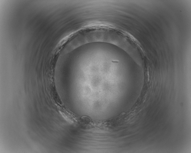 X0000080180775200612081400