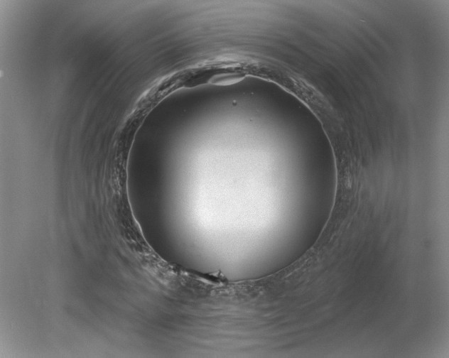 X0000080180776200612081400