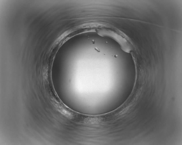 X0000080180778200612081400