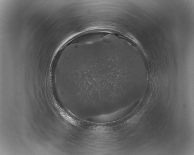 X0000080180779200612081400