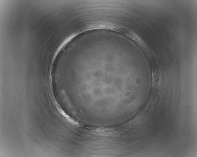 X0000080180780200612081400