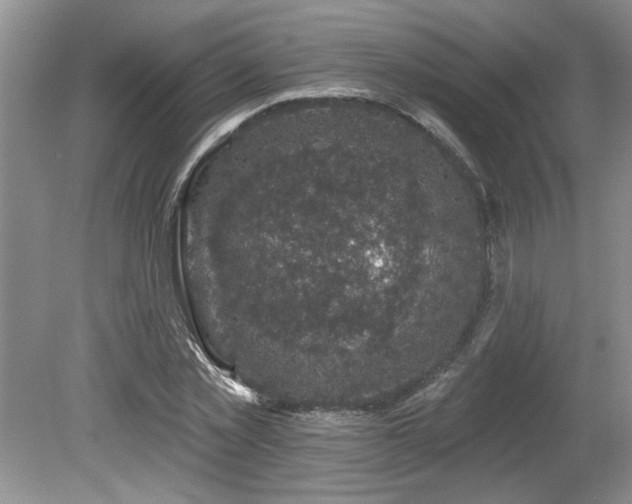 X0000080180781200612081400