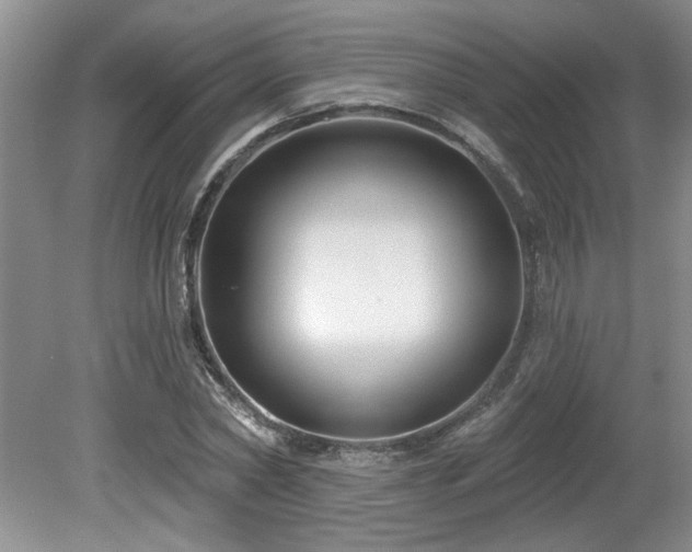 X0000080180782200612081400