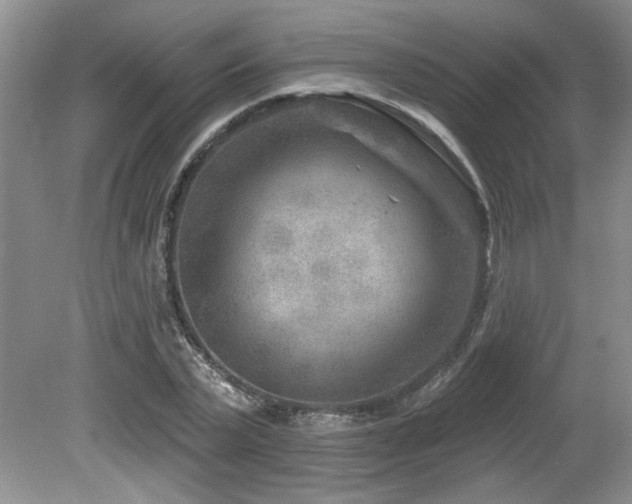 X0000080180783200612081400