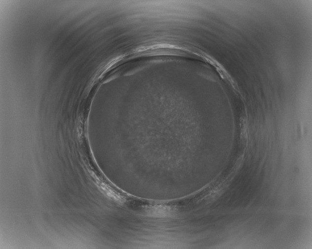 X0000080180785200612081400