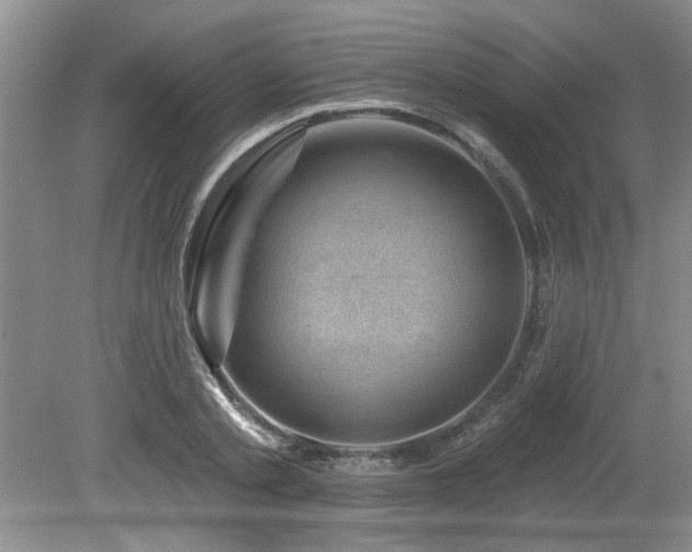 X0000080180789200612081400