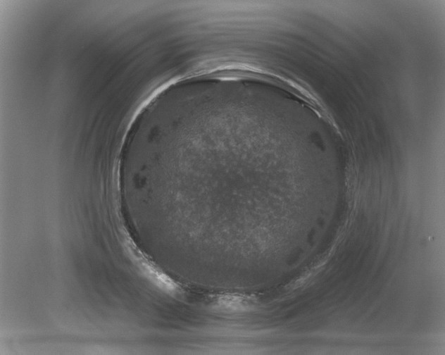 X0000080180790200612081400