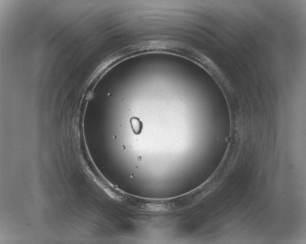 X0000080180794200612081400