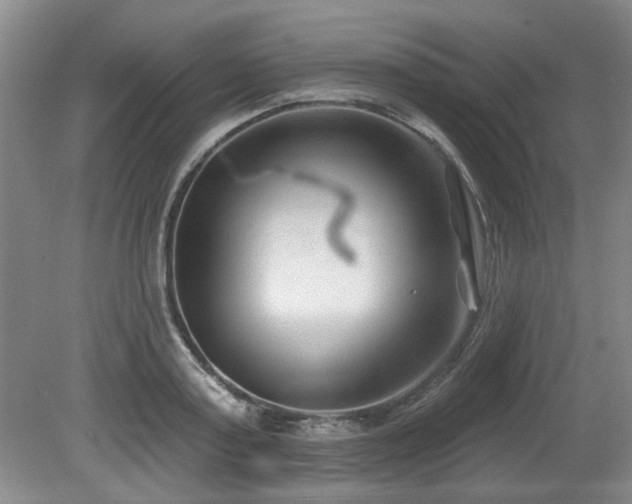 X0000080180795200612081400