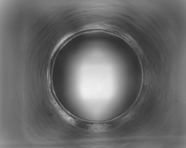 X0000080180796200612081400