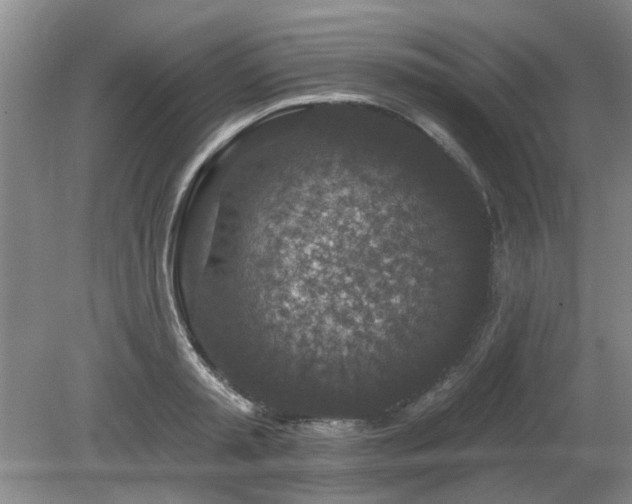 X0000080180797200612081400