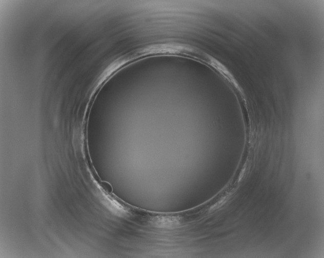 X0000080180802200612081400