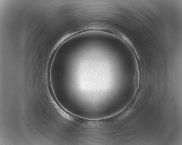 X0000080180803200612081400