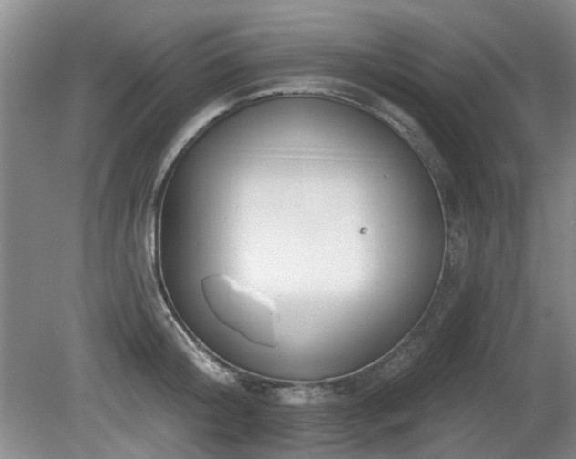 X0000080180804200612081400