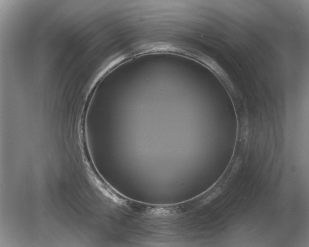 X0000080180806200612081359