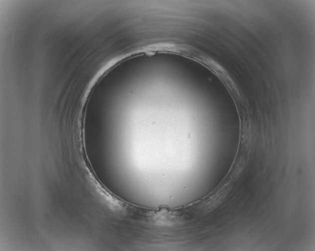 X0000080180808200612081359