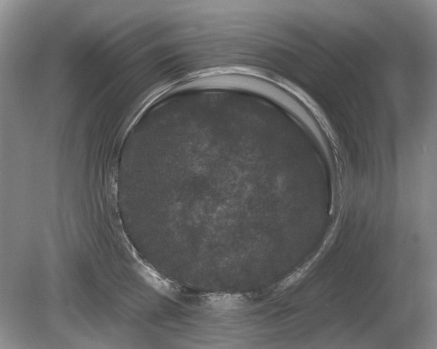 X0000080180809200612081359