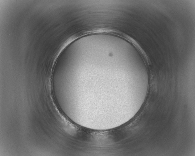 X0000080180810200612081359