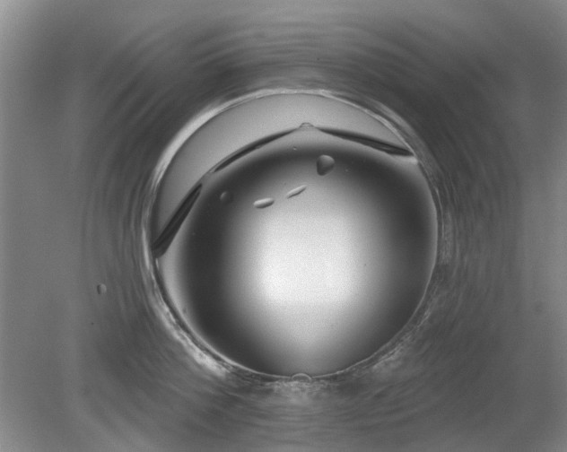 X0000080180812200612081359