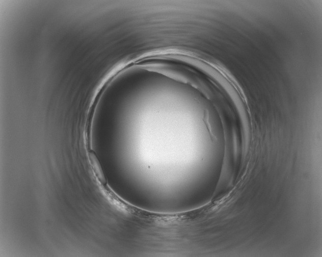 X0000080180813200612081359