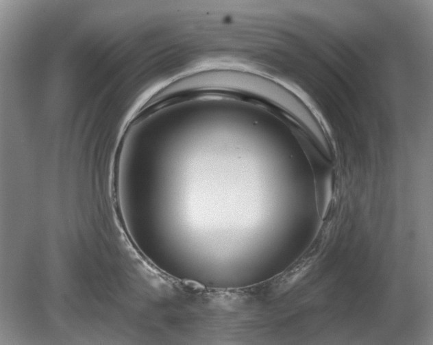 X0000080180815200612081359