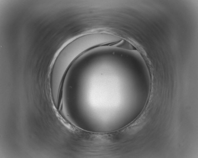 X0000080180816200612081359