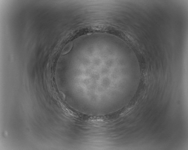 X0000080180817200612081358