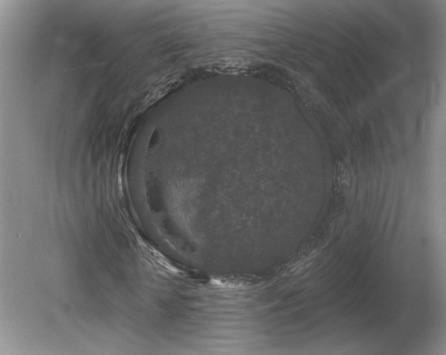 X0000080180818200612081359