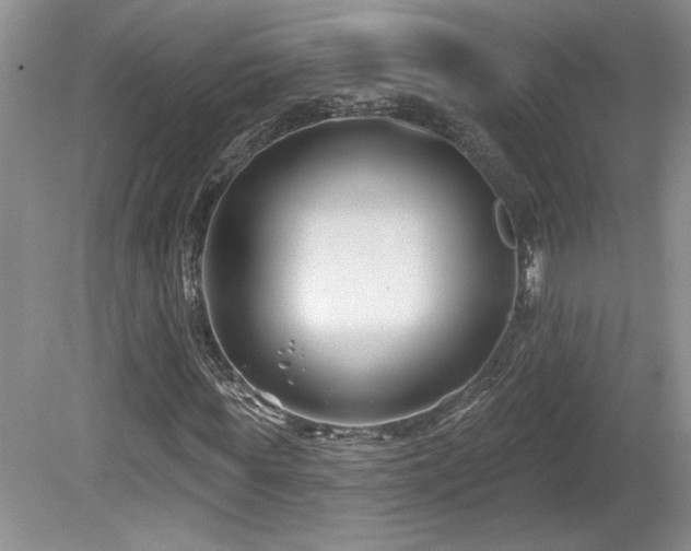 X0000080180819200612081359