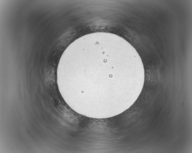 X0000080180820200612081359