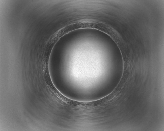 X0000080180821200612081359