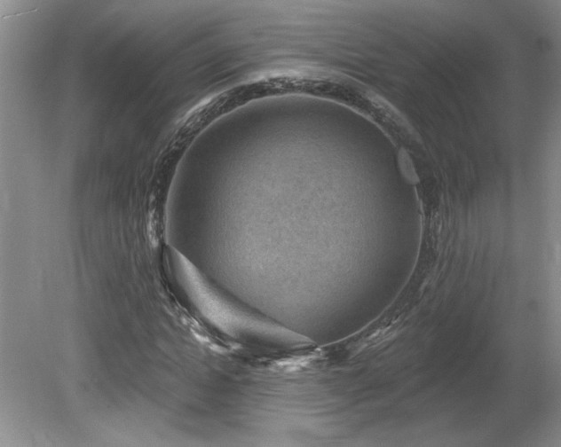 X0000080180822200612081359