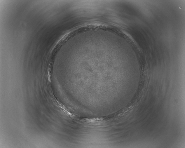 X0000080180823200612081359