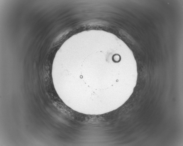 X0000080180824200612081359