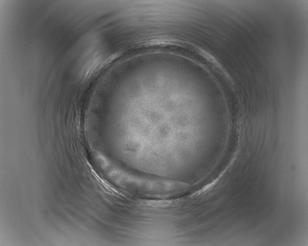 X0000080180825200612081359