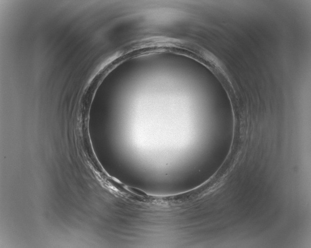 X0000080180827200612081359